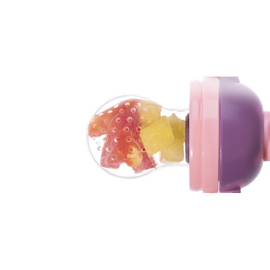 Baby Fruit Feeder Pacifier