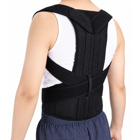 Back Support Belt and Waist Brace