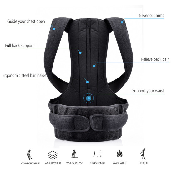 Back Support Belt and Waist Brace