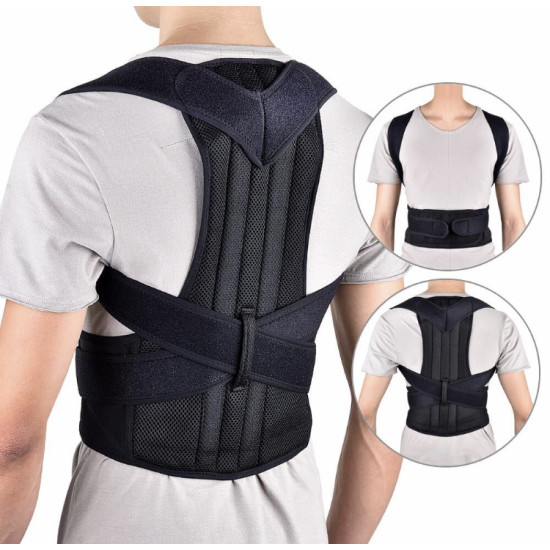 Back Support Belt and Waist Brace