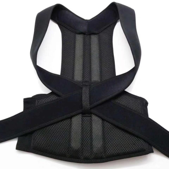 Back Support Belt and Waist Brace