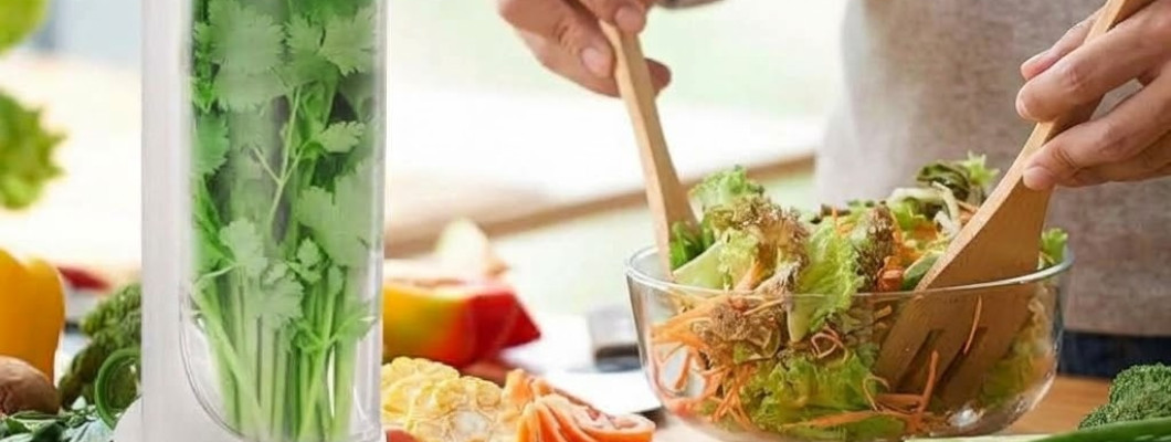 How to Store Parsley, Cilantro and Mint in the Fridge: A Practical Herb Keeper Guide How to Store Parsley, Cilantro and Mint in the Fridge: A Practical Herb Keeper Guide