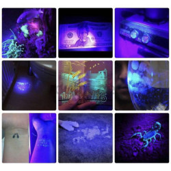 UV Flashlight Multi-Purpose Detector scorpions detector
