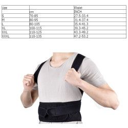 Back belt and corset