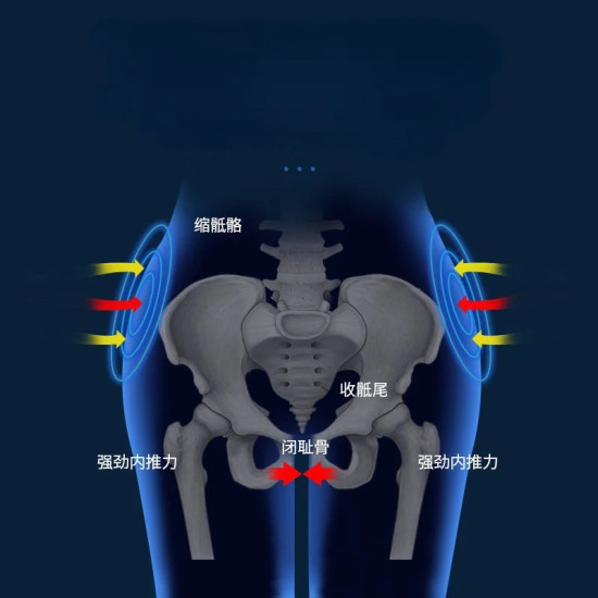 Adjustable Air Pelvic Support Belt for Women Adjustable Air Pelvic Support Belt for Women
