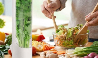 How to Store Parsley, Cilantro and Mint in the Fridge: A Practical Herb Keeper Guide