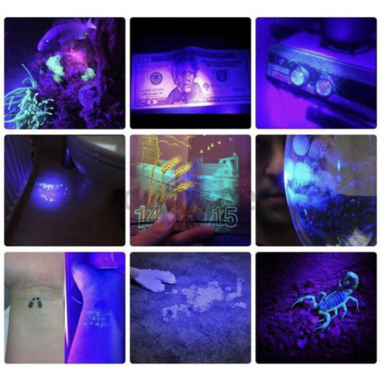 UV Flashlight Multi-Purpose Detector scorpions detector UV Flashlight Multi-Purpose Detector scorpions detector