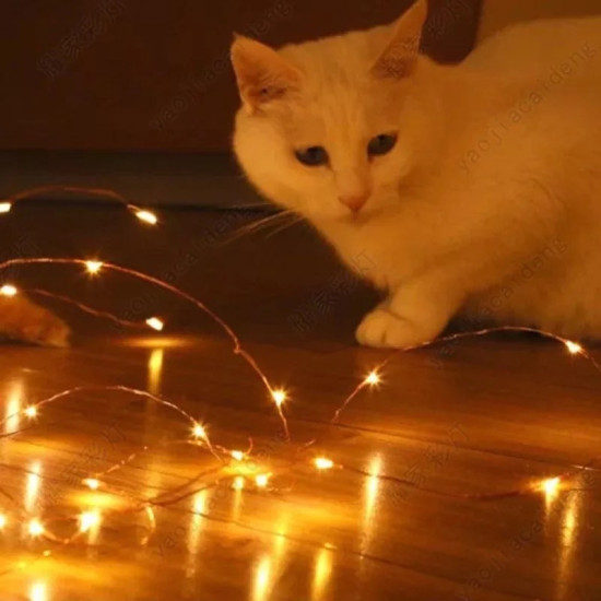 A white cat with blue eyes crouches near warm yellow LED string lights spread on a wooden floor, with multiple small bright light points visible on thin wires.