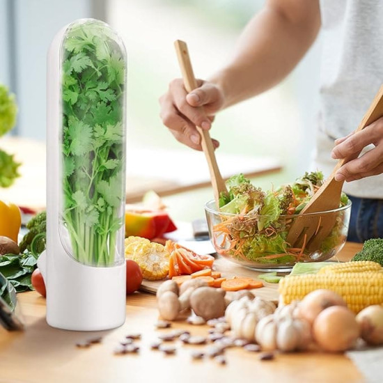 White vertical herb storage container holding fresh cilantro on a kitchen counter