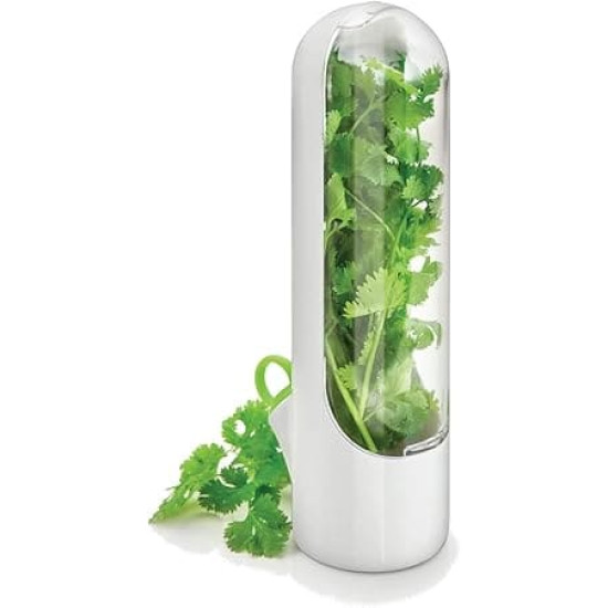White vertical herb storage container with clear front holding fresh green cilantro